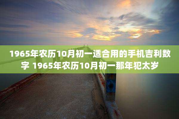 1965年农历10月初一适合用的手机吉利数字 1965年农历10月初一那年犯太岁
