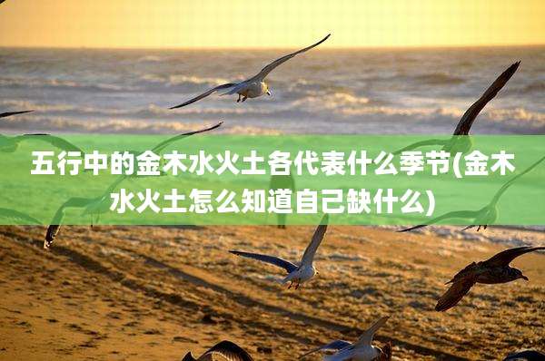 五行中的金木水火土各代表什么季节(金木水火土怎么知道自己缺什么)