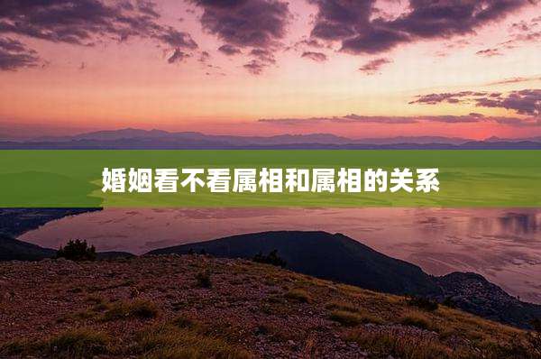婚姻看不看属相和属相的关系