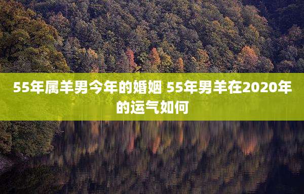 55年属羊男今年的婚姻 55年男羊在2020年的运气如何