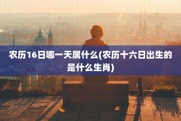 农历16日哪一天属什么(农历十六日出生的是什么生肖)