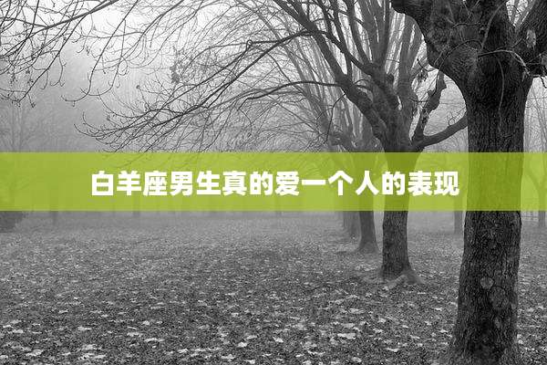 白羊座男生真的爱一个人的表现