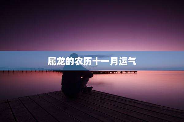 属龙的农历十一月运气