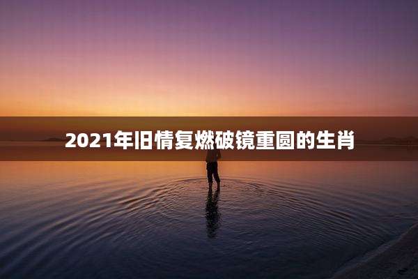 2021年旧情复燃破镜重圆的生肖