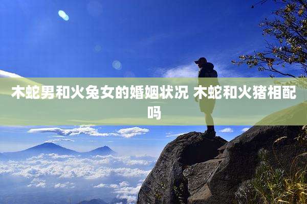 木蛇男和火兔女的婚姻状况 木蛇和火猪相配吗