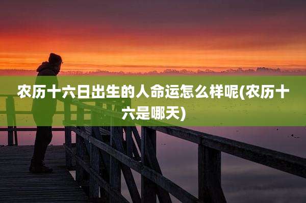 农历十六日出生的人命运怎么样呢(农历十六是哪天)