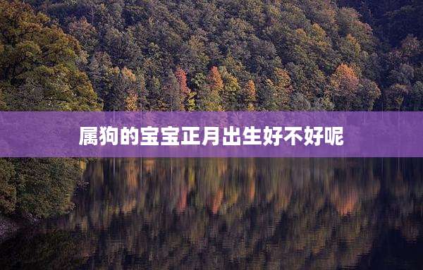 属狗的宝宝正月出生好不好呢