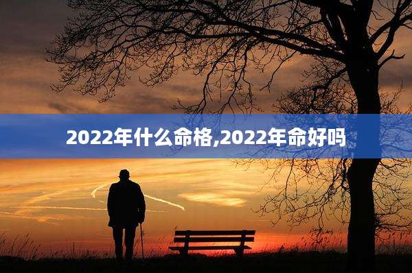 2022年什么命格,2022年命好吗