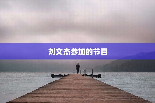 刘文杰参加的节目