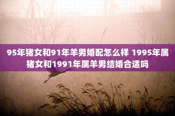 95年猪女和91年羊男婚配怎么样 1995年属猪女和1991年属羊男结婚合适吗