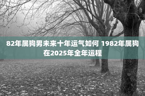 82年属狗男未来十年运气如何 1982年属狗在2025年全年运程