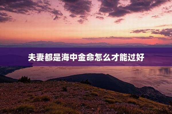夫妻都是海中金命怎么才能过好