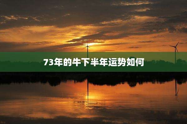 73年的牛下半年运势如何