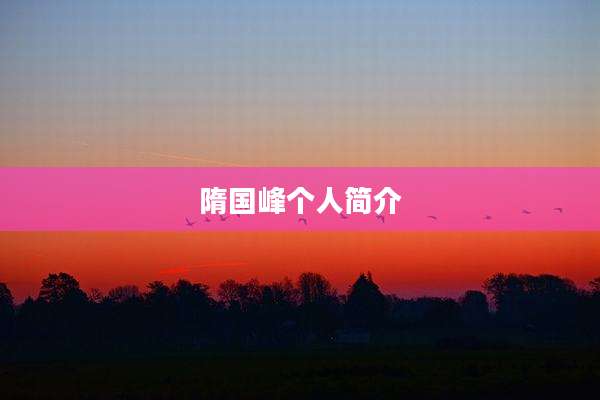 隋国峰个人简介
