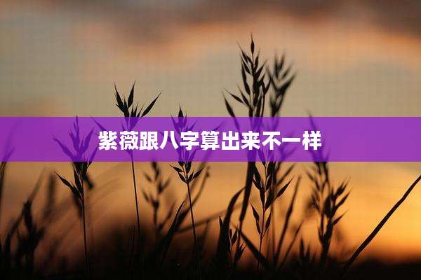 紫薇跟八字算出来不一样