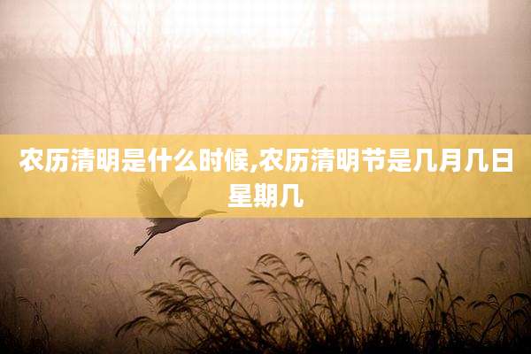 农历清明是什么时候,农历清明节是几月几日星期几