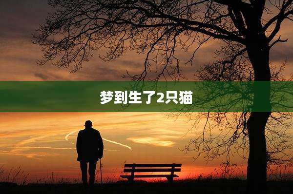 梦到生了2只猫
