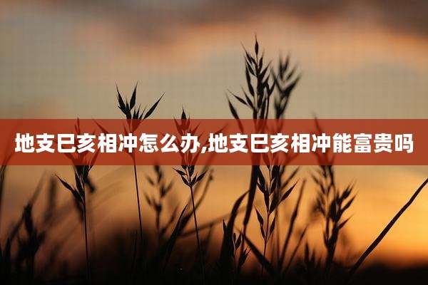 地支巳亥相冲怎么办,地支巳亥相冲能富贵吗