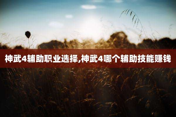 神武4辅助职业选择,神武4哪个辅助技能赚钱