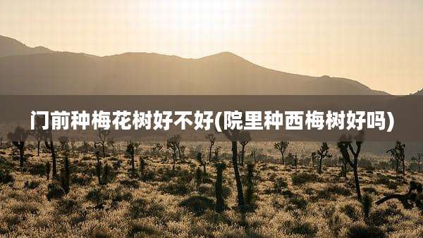 门前种梅花树好不好(院里种西梅树好吗)