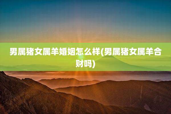 男属猪女属羊婚姻怎么样(男属猪女属羊合财吗)