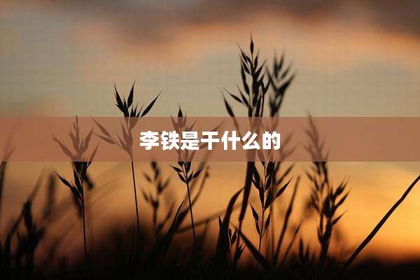 李铁是干什么的