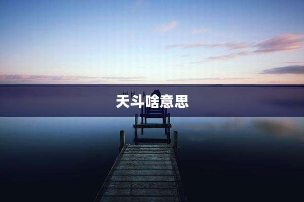 天斗啥意思