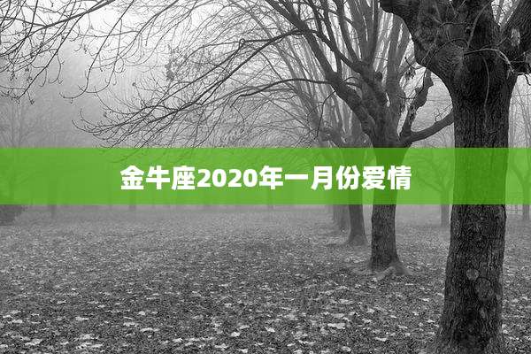 金牛座2020年一月份爱情