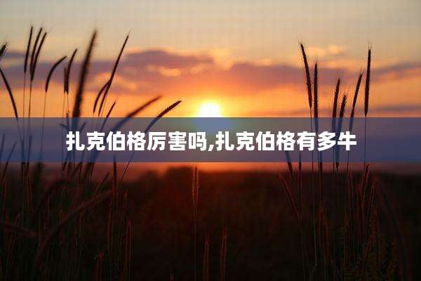 扎克伯格厉害吗,扎克伯格有多牛
