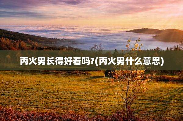 丙火男长得好看吗?(丙火男什么意思)