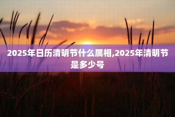 2025年日历清明节什么属相,2025年清明节是多少号