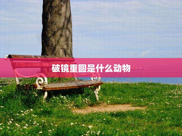 破镜重圆是什么动物