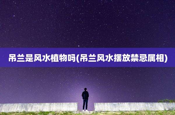 吊兰是风水植物吗(吊兰风水摆放禁忌属相)