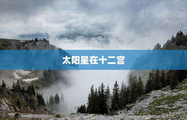太阳星在十二宫
