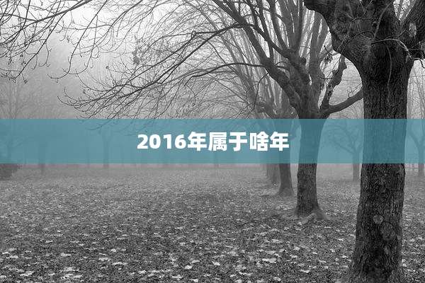 2016年属于啥年