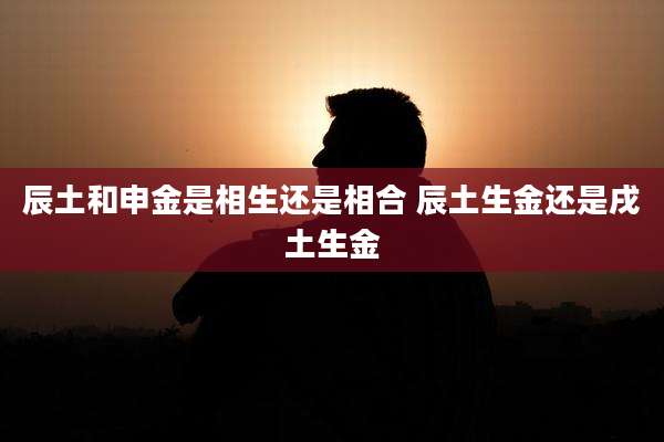 辰土和申金是相生还是相合 辰土生金还是戌土生金