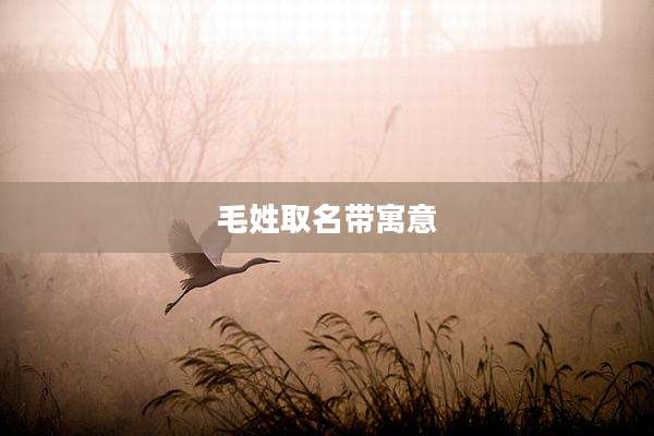 毛姓取名带寓意