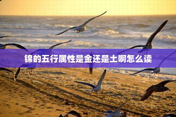 锦的五行属性是金还是土啊怎么读