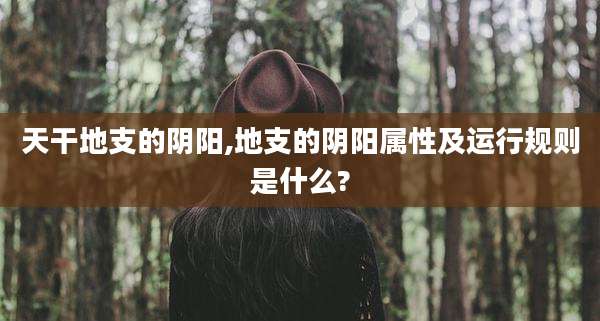 天干地支的阴阳,地支的阴阳属性及运行规则是什么?