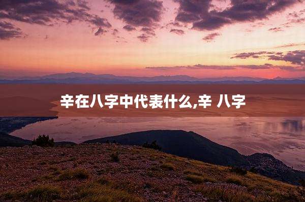 辛在八字中代表什么,辛 八字