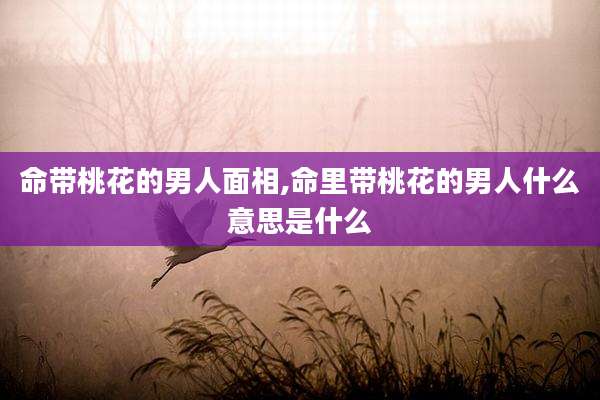 命带桃花的男人面相,命里带桃花的男人什么意思是什么