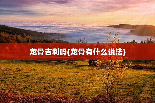 龙骨吉利吗(龙骨有什么说法)