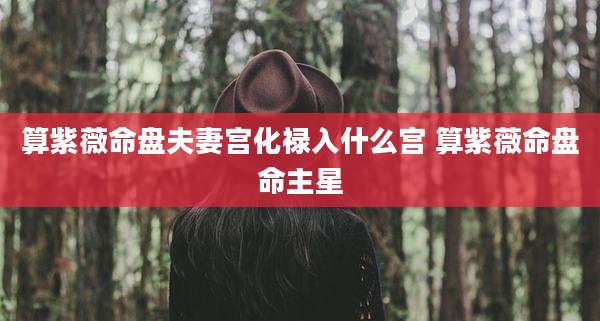 算紫薇命盘夫妻宫化禄入什么宫 算紫薇命盘命主星