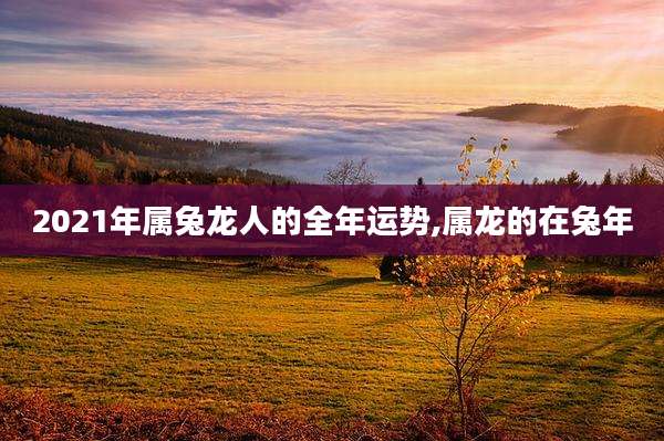 2021年属兔龙人的全年运势,属龙的在兔年