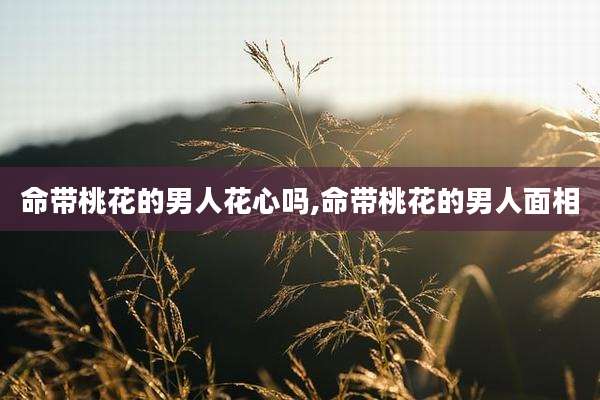 命带桃花的男人花心吗,命带桃花的男人面相