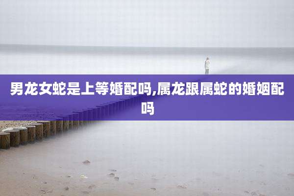 男龙女蛇是上等婚配吗,属龙跟属蛇的婚姻配吗