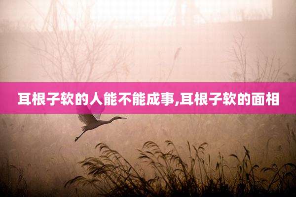 耳根子软的人能不能成事,耳根子软的面相