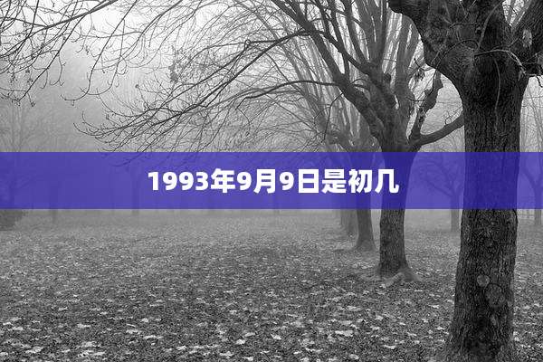 1993年9月9日是初几