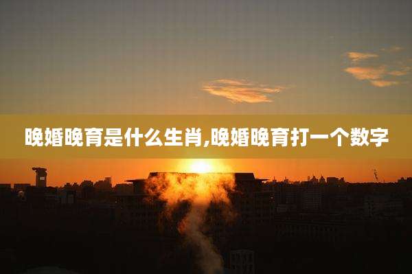 晚婚晚育是什么生肖,晚婚晚育打一个数字
