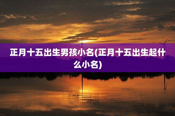 正月十五出生男孩小名(正月十五出生起什么小名)